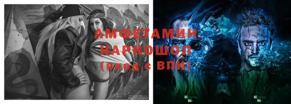 ПСИЛОЦИБИНОВЫЕ ГРИБЫ Алексин