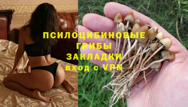 ПСИЛОЦИБИНОВЫЕ ГРИБЫ Алексин