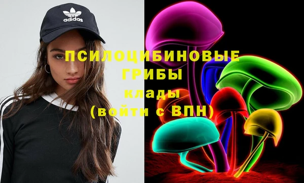 ПСИЛОЦИБИНОВЫЕ ГРИБЫ Алексин