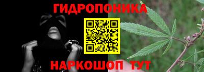 гашик Тулун