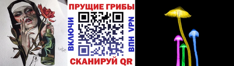 Галлюциногенные грибы Psilocybe  Шуя 