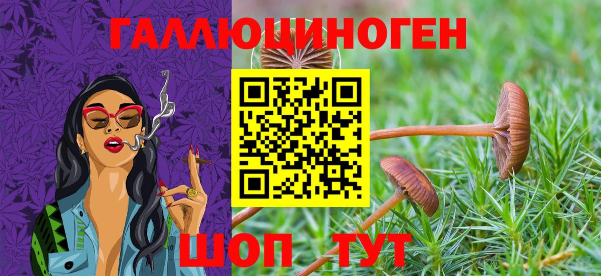Шуя  Псилоцибиновые грибы прущие грибы  Вход с VPN 