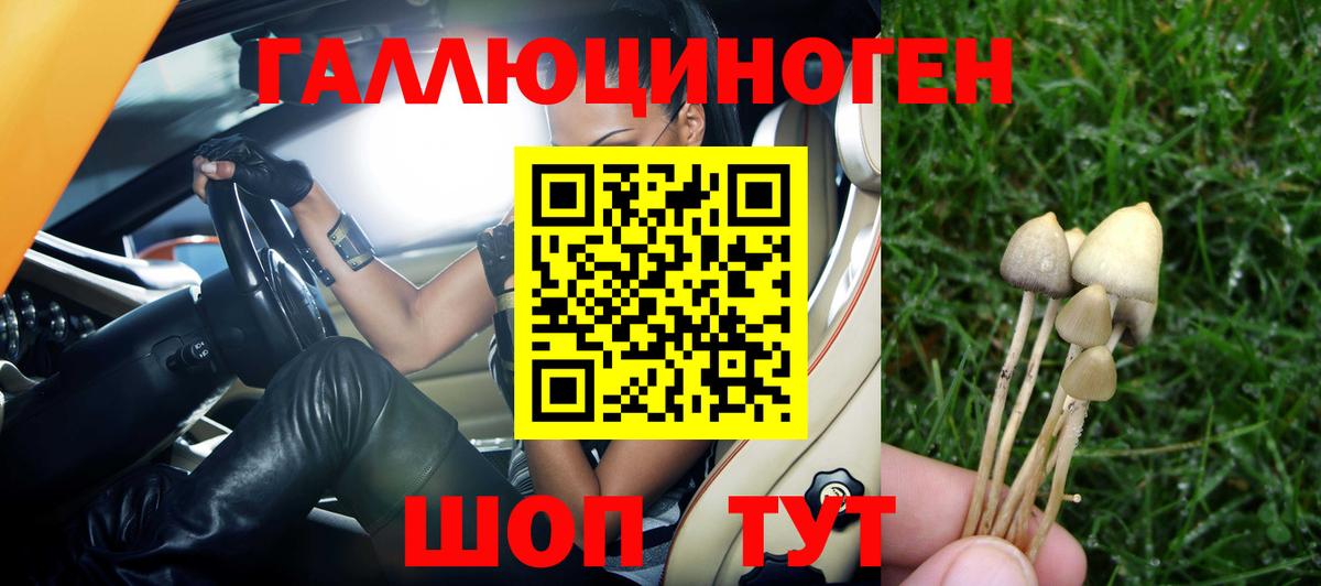 Галлюциногенные грибы Cubensis Шуя