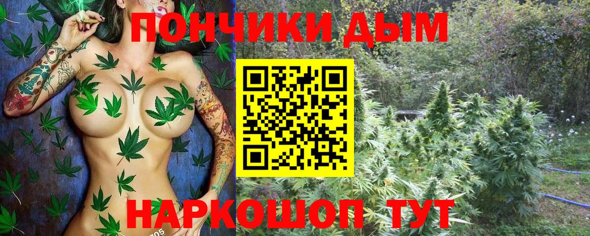 Канабис сатива  Канабис White Widow  Вход с VPN  Шуя  Бошки марихуана ГИДРОПОН 